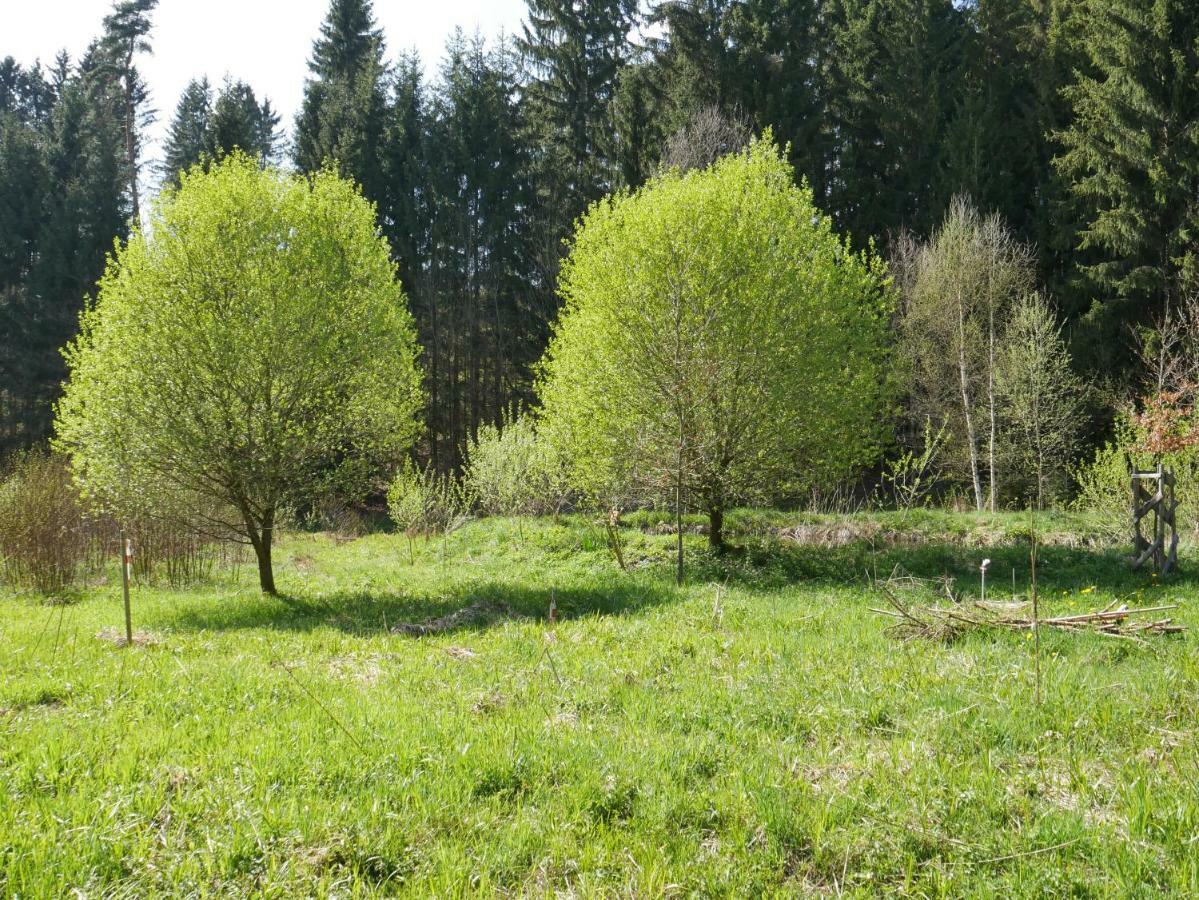 Gruenlasmuehle Brand Eksteriør bilde